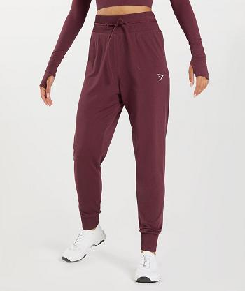 Gymshark Vital Seamless 2.0 Ženske Jogger Hlače Bordo | HR 4111JPQ